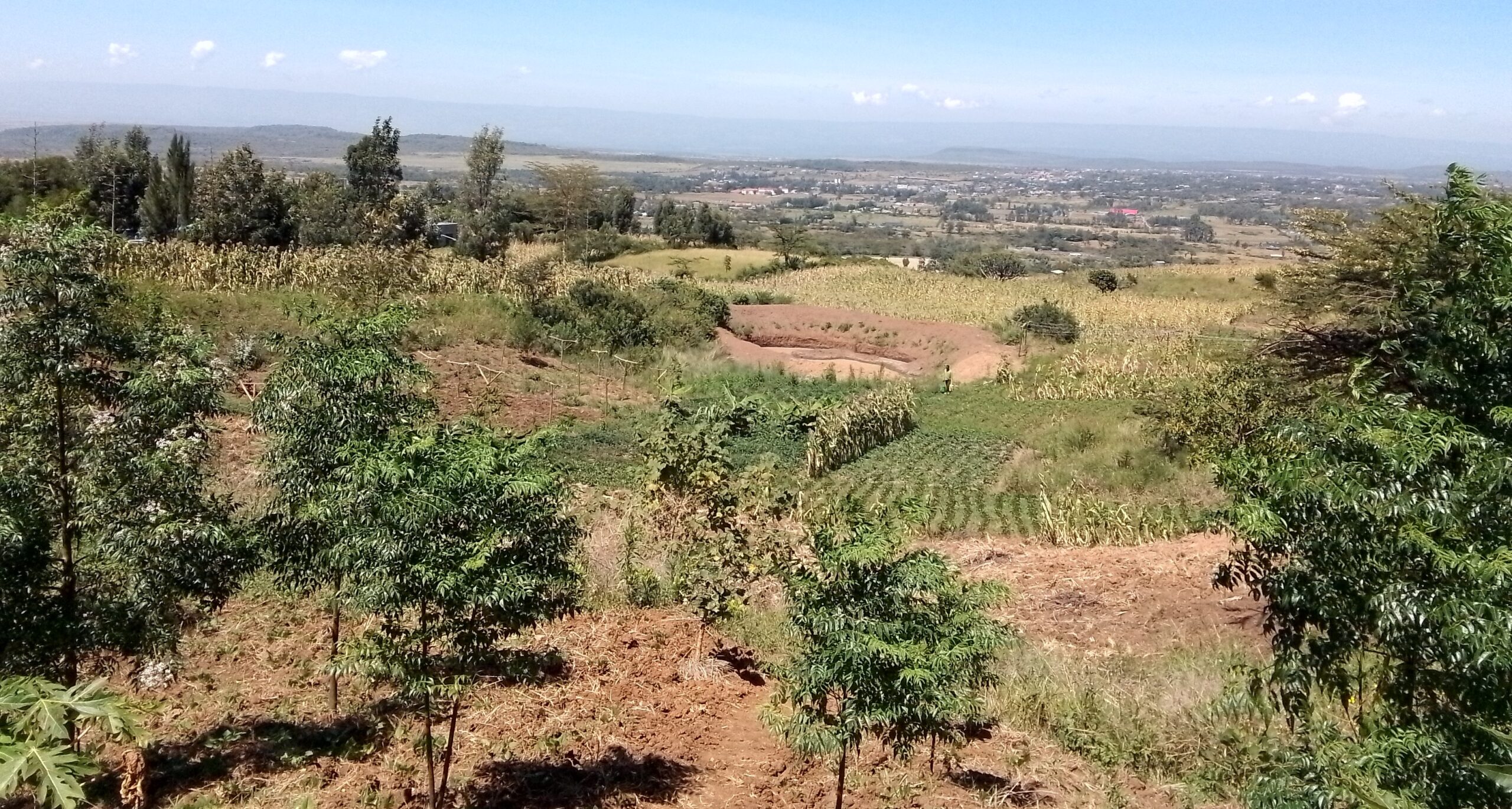 View from shamba Nim 2024