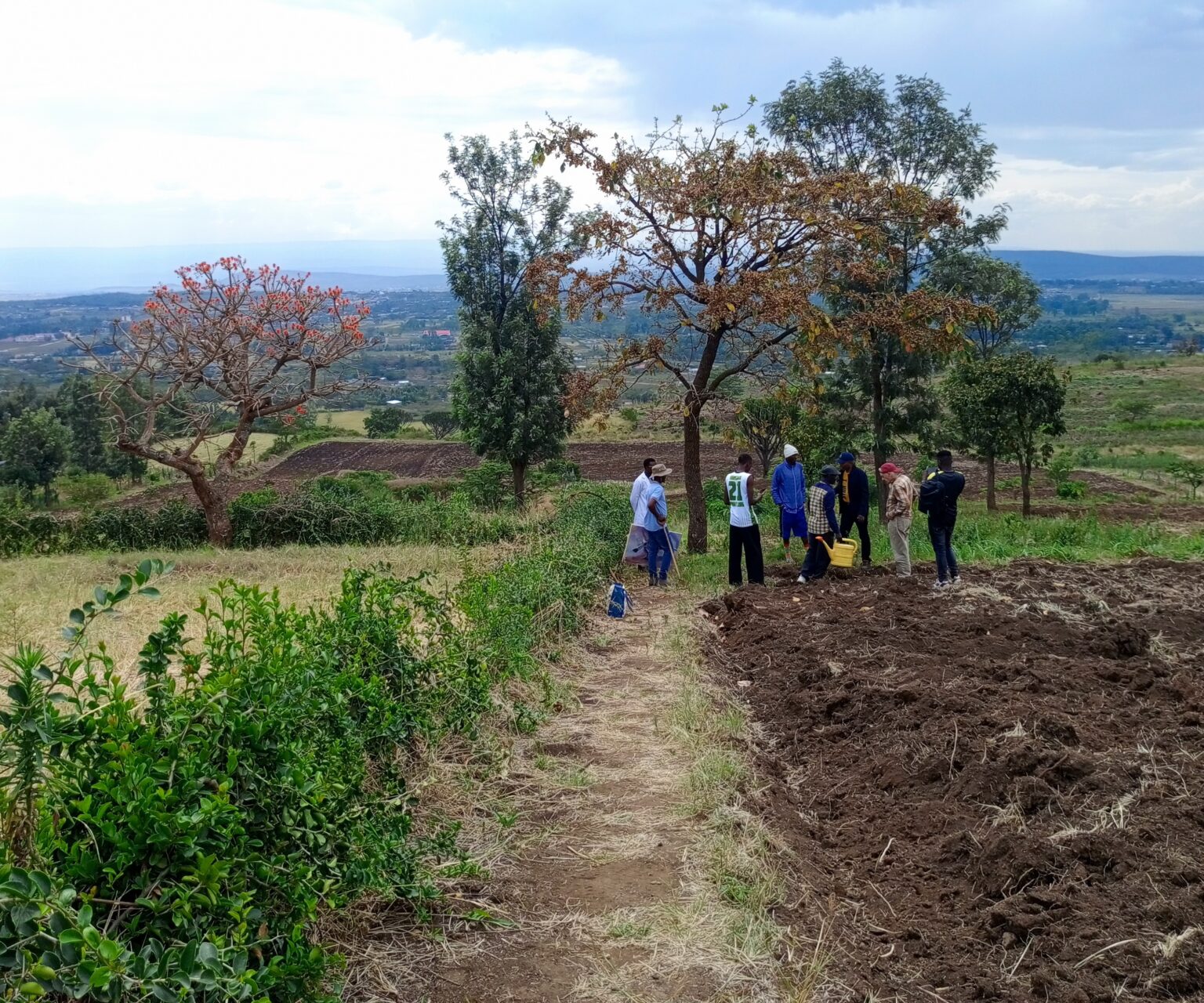 Shamba 15Feb2025a